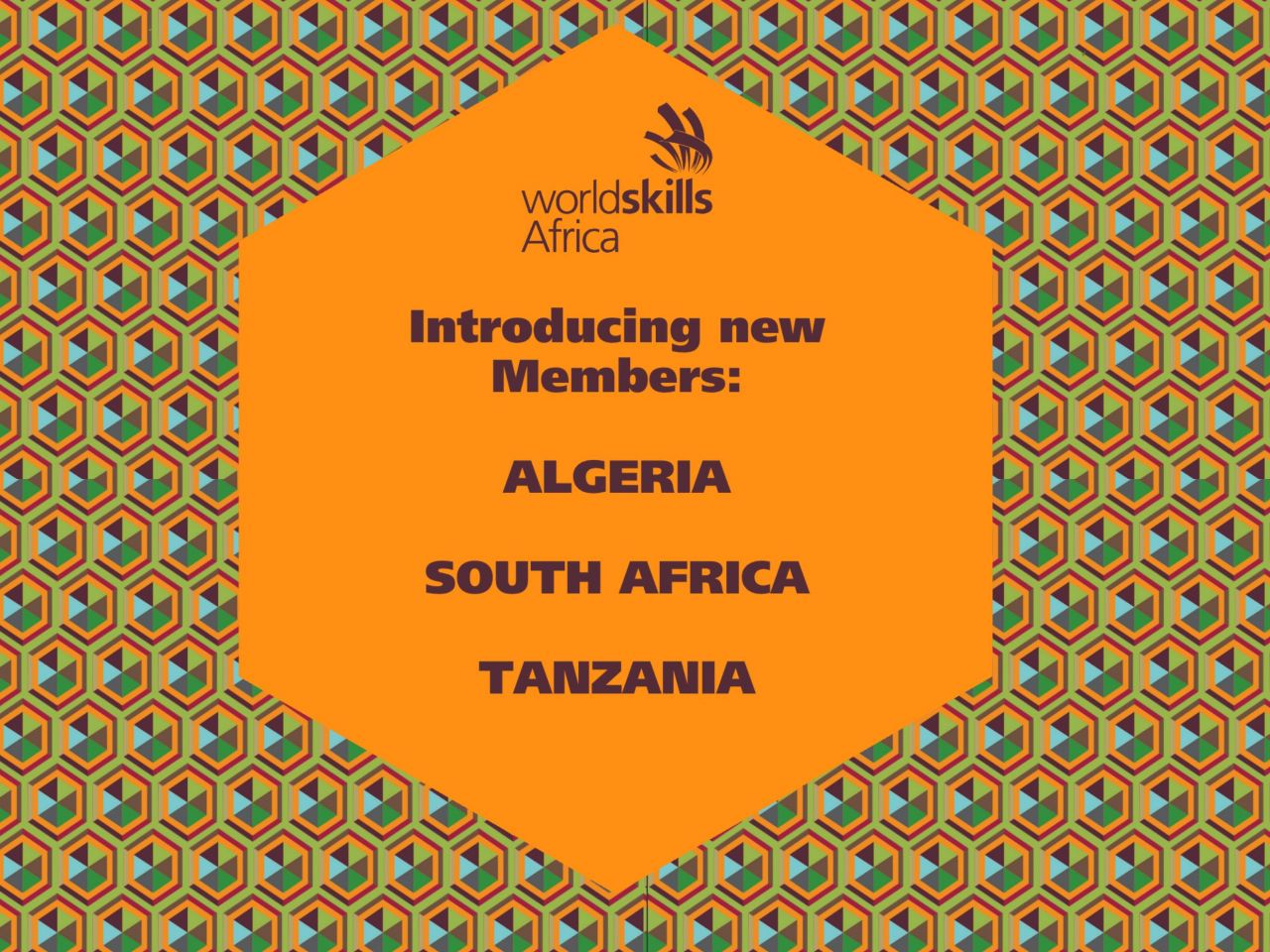 Three new countries join WorldSkills Africa